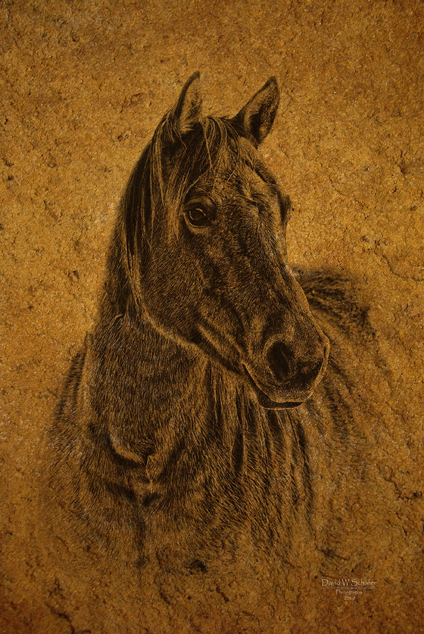 Click here to view Horses artwork by David W Schafer