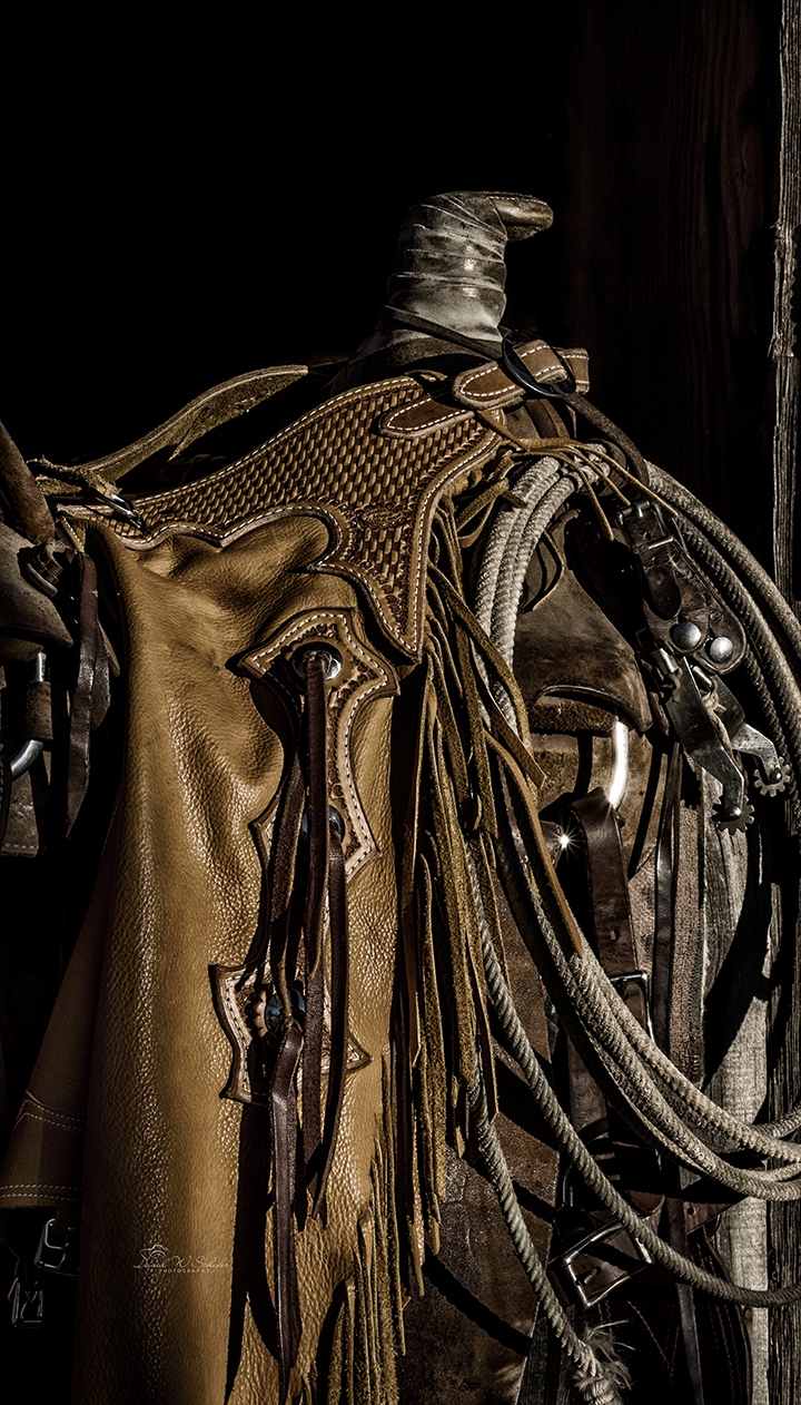 Cowboy Tools by David W Schafer