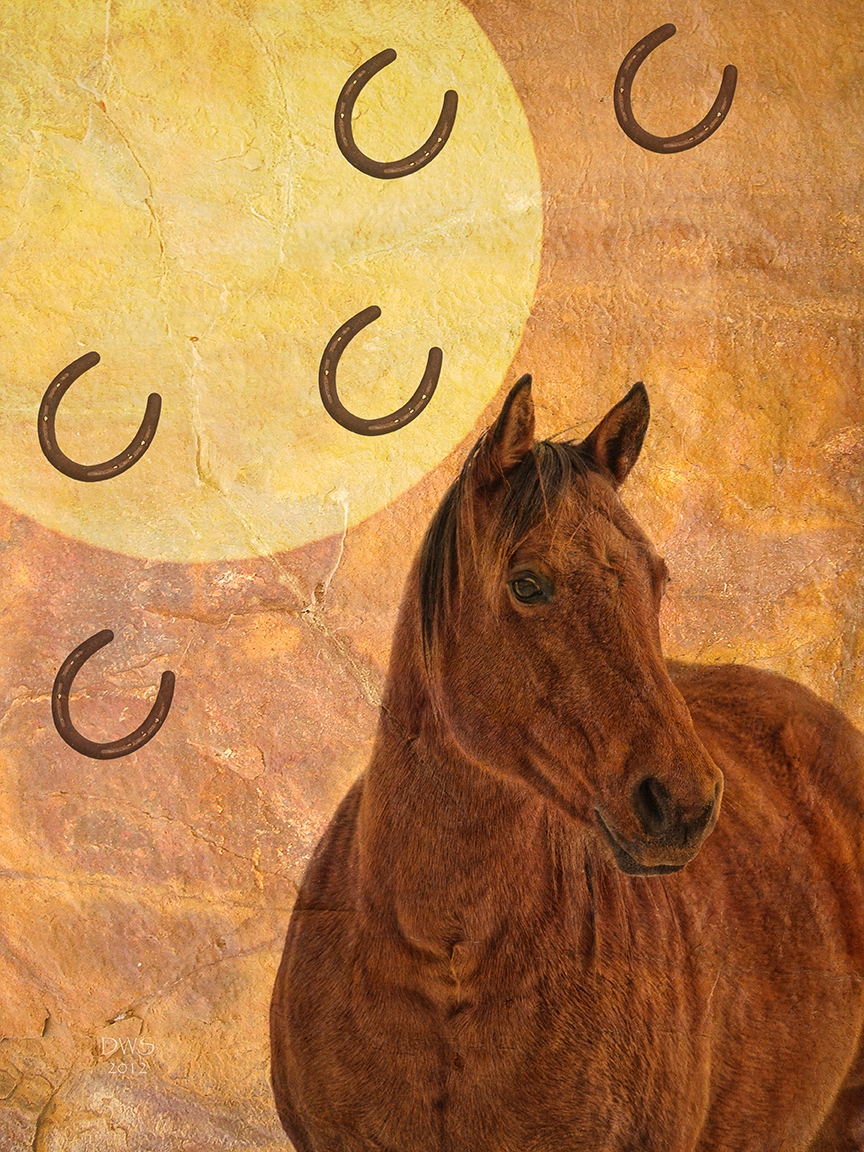 Click here to view Horsehoe Lady by David W Schafer