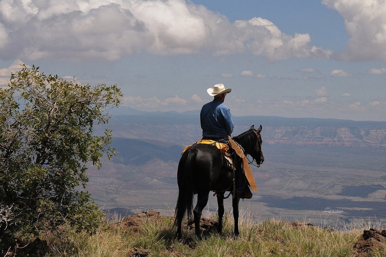 Click here to view Moment of Admiration by David W Schafer