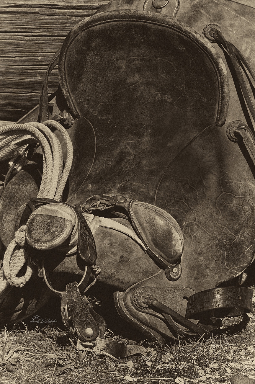 Rustic Saddle by David W Schafer