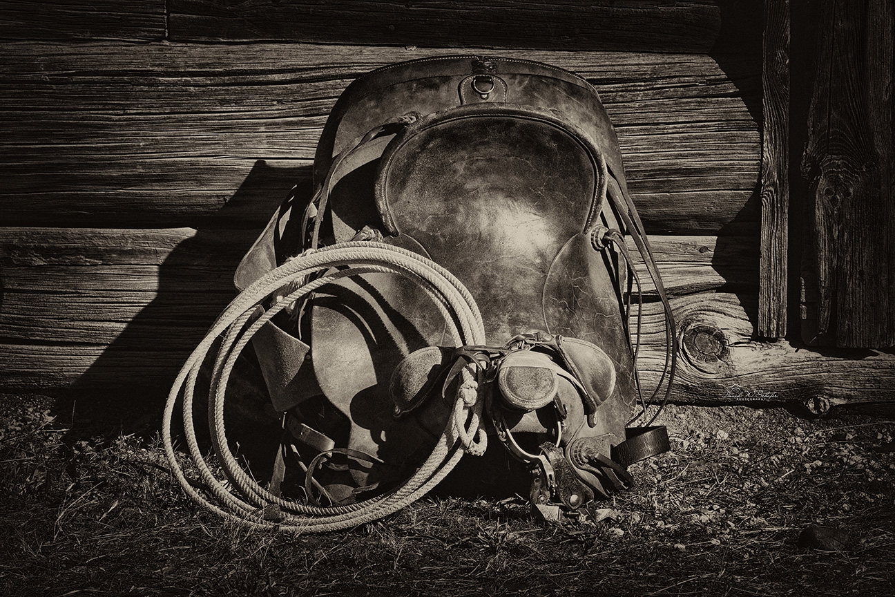 Weathered Saddle Serenade by David W Schafer