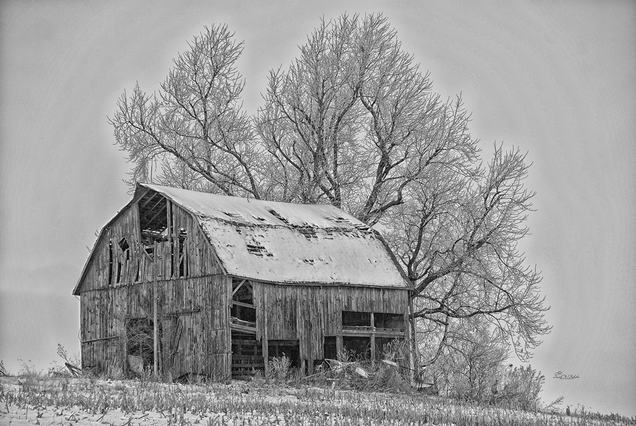 Barn of Bygone Days by David W Schafer
