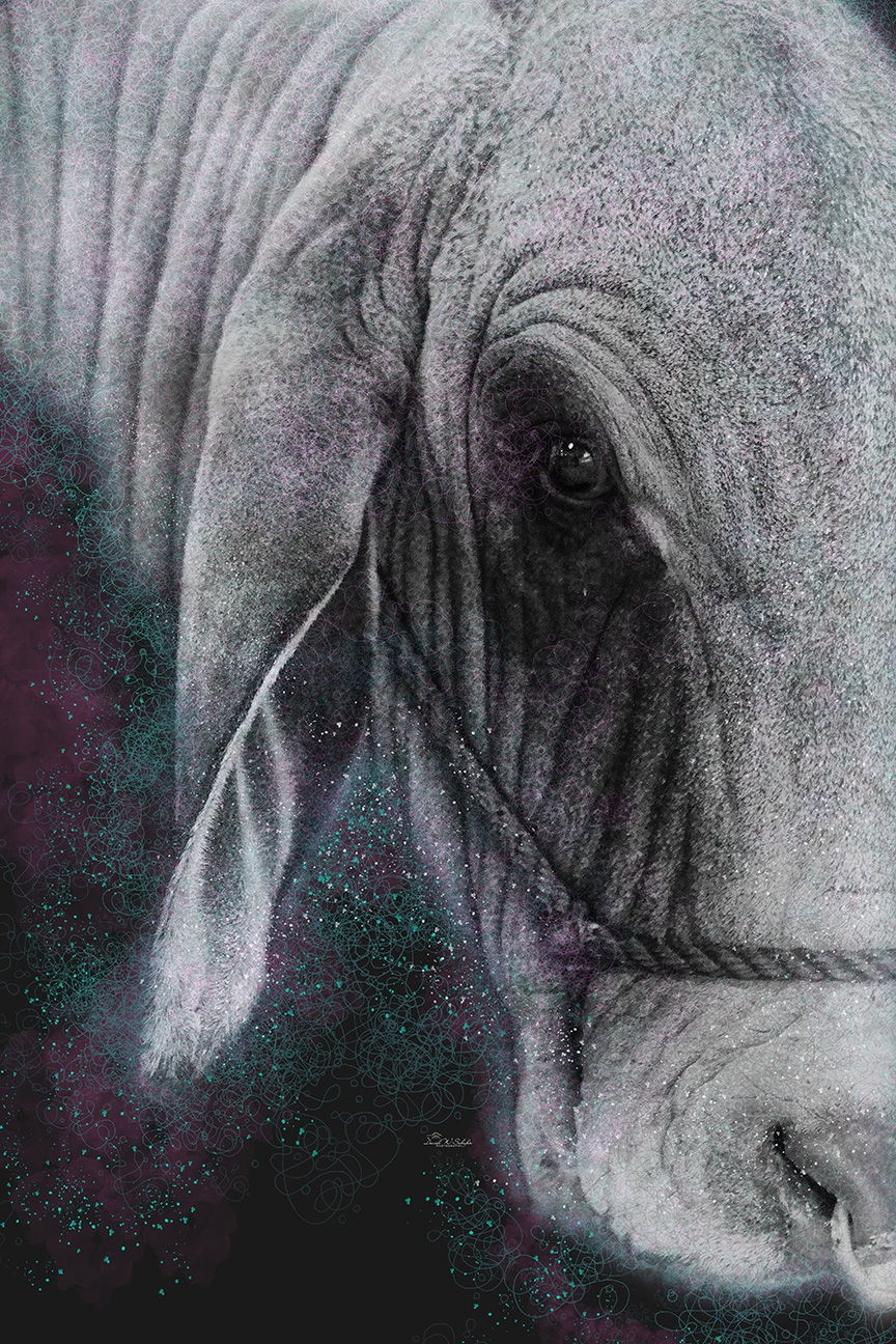 Click here to view Wrinkly Warrior by David W Schafer