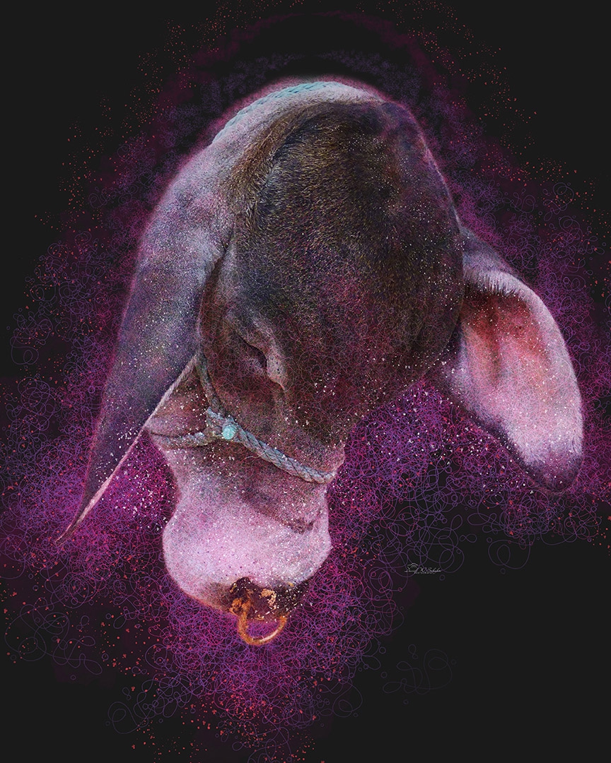 Cosmic Bull Repose by David W Schafer