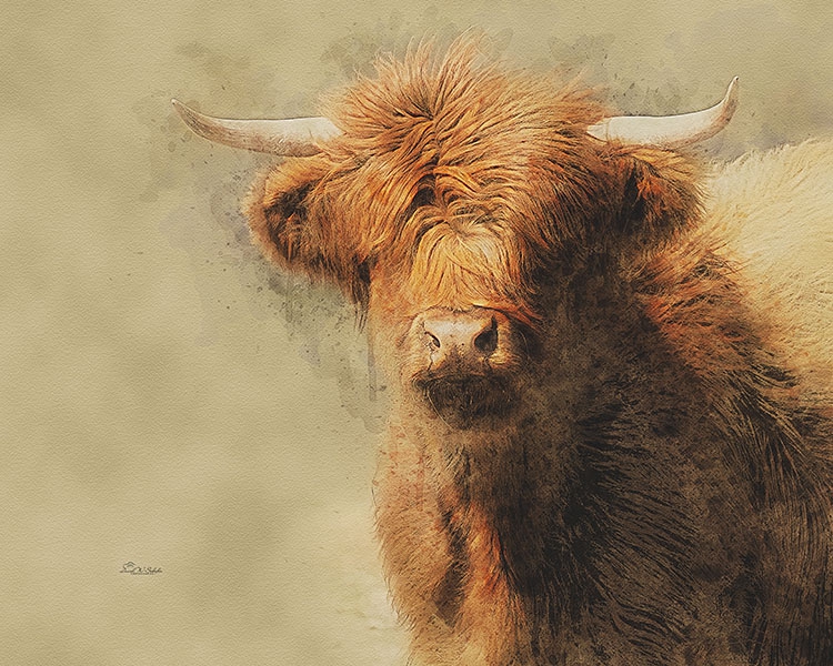 Click here to view Wind-Swept Aura by David W Schafer