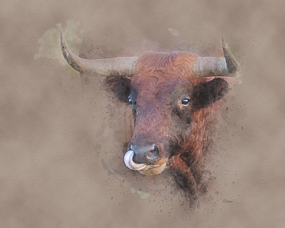 Click here to view Corriente Craving by David W Schafer