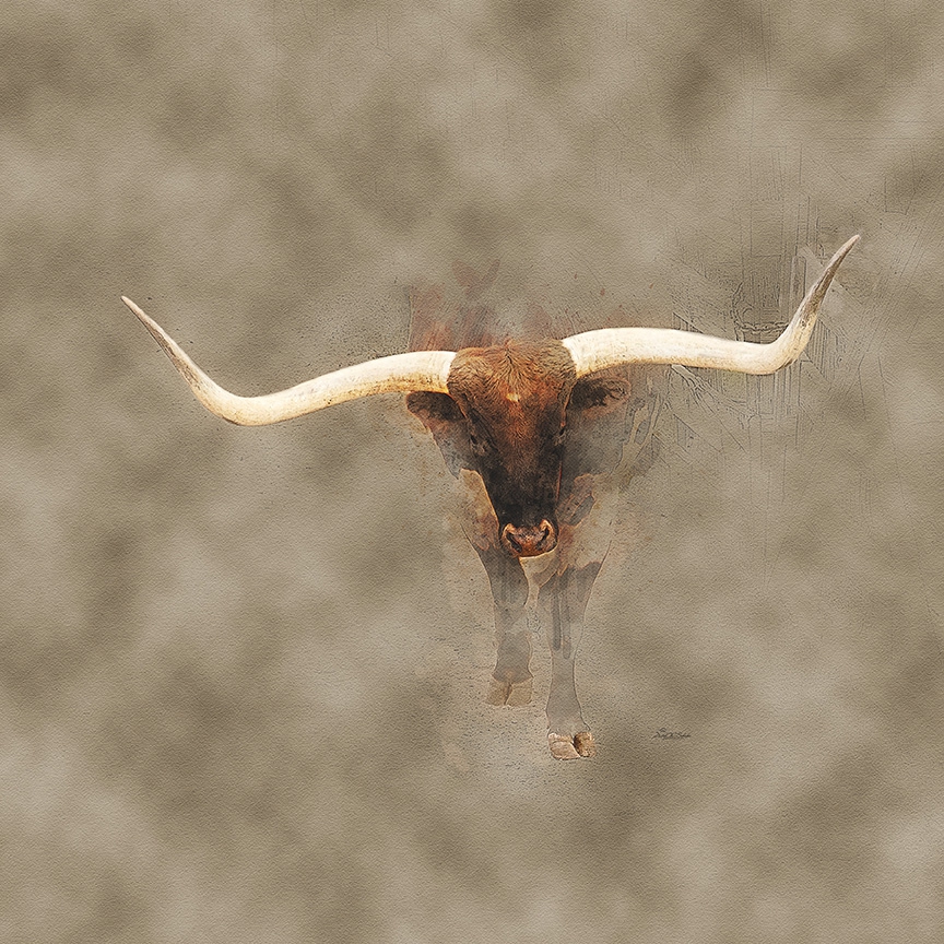 Widespread Intensity by David W Schafer