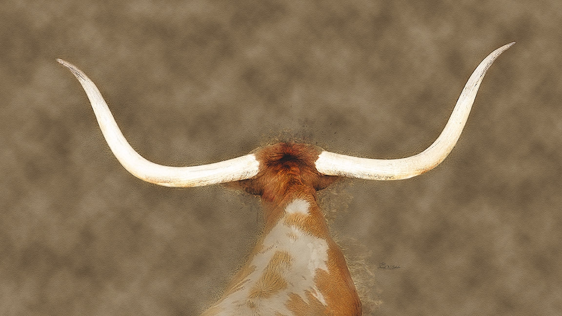 Click here to view Longhorn Steer's Pride by David W Schafer