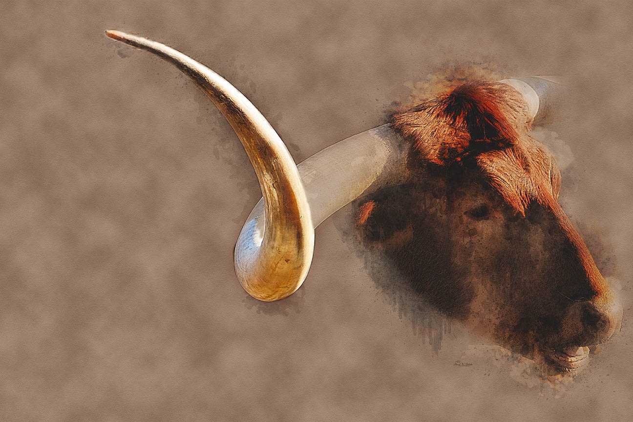 Prominent Profile by David W Schafer