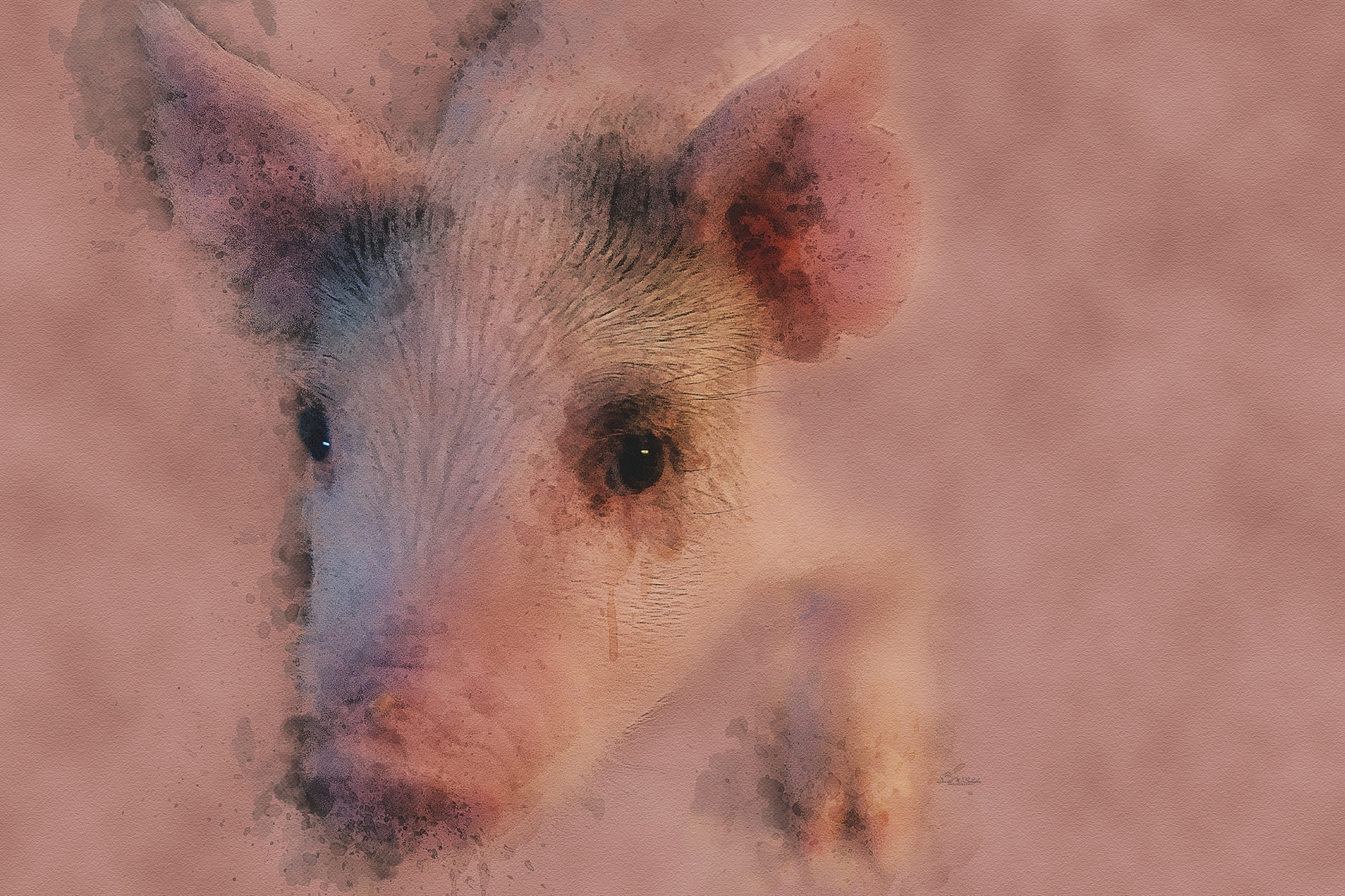 Click here to view Pastel Piggy Ponderings by David W Schafer