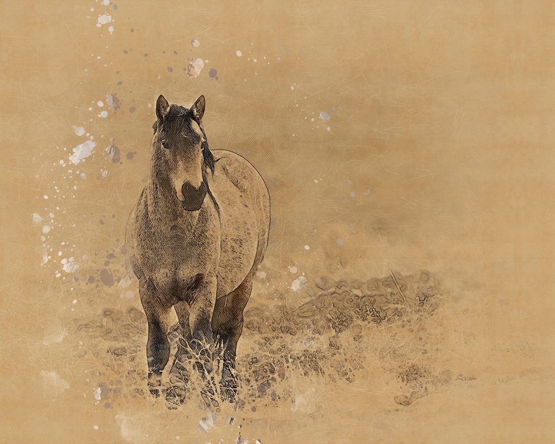 Vintage Buckskin by David W Schafer