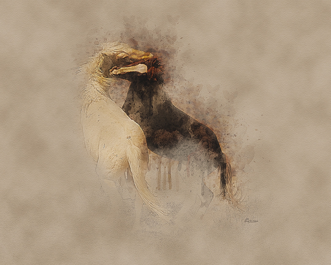 Click here to view Mane Dispute by David W Schafer