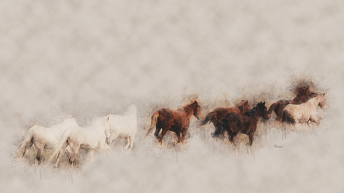 Running Wild by David W Schafer