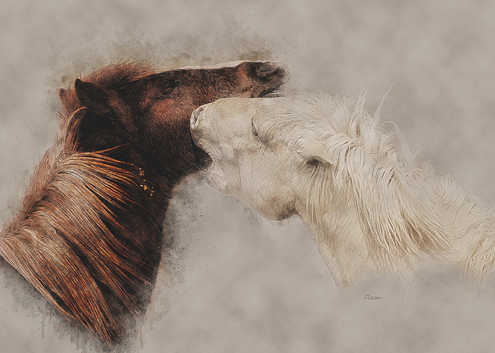 Click here to view Enough! by David W Schafer