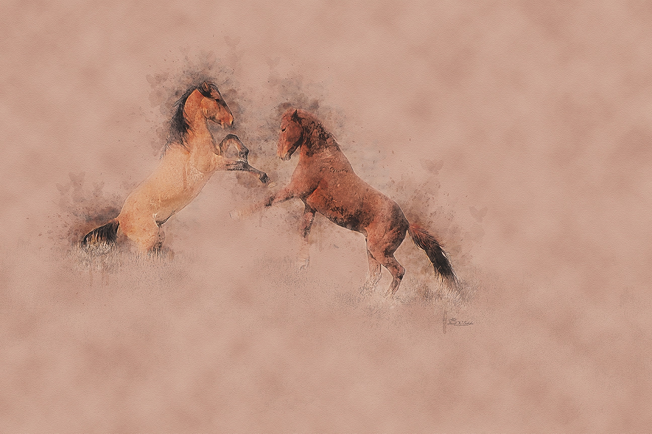 Click here to view Dusty Duel Mane-ia by David W Schafer