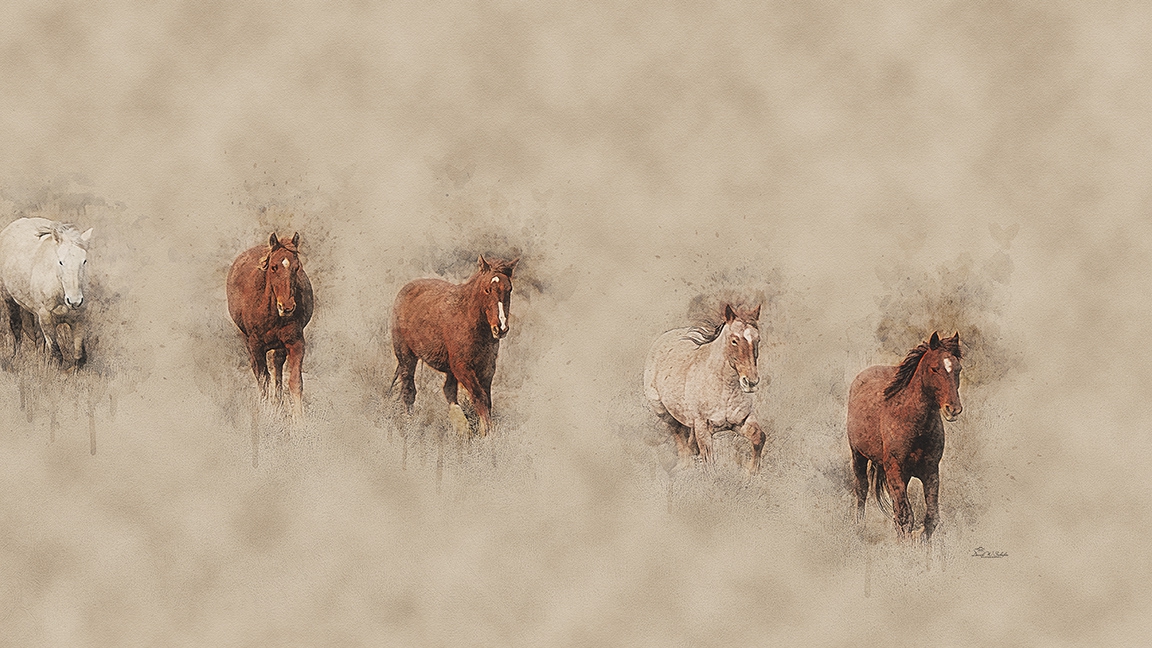 Cinco Caballos by David W Schafer