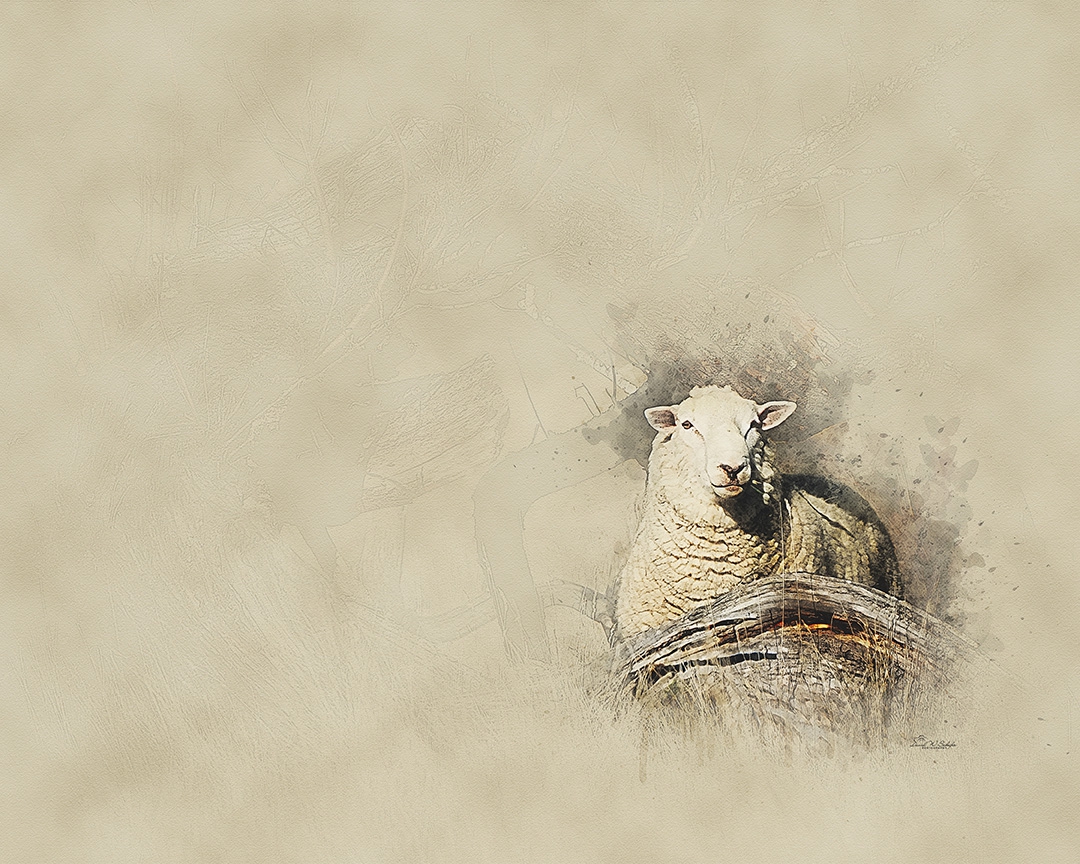 Behind Rustic Elegance by David W Schafer