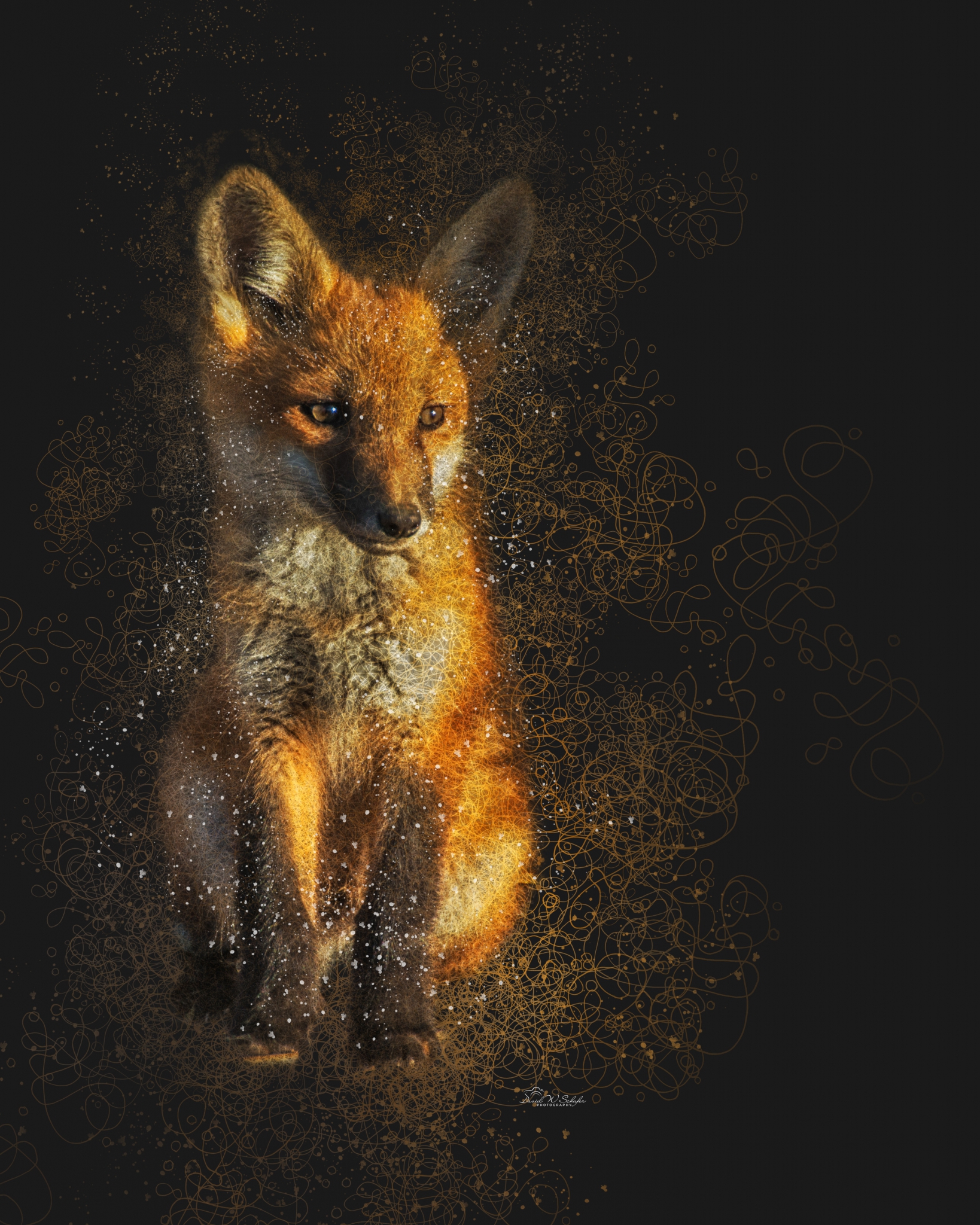 Fur & Whimsy: Fox's Fancy by David W Schafer