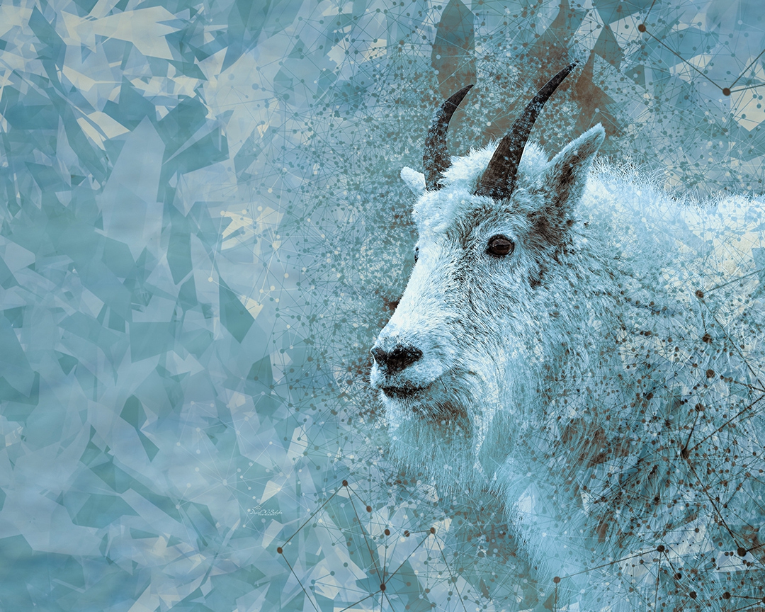 Mountain Goat Geometrics by David W Schafer
