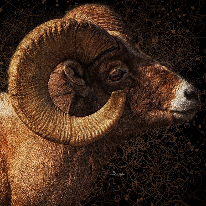 Majestic Bighorn Amid Abstract Swirls by David W Schafer