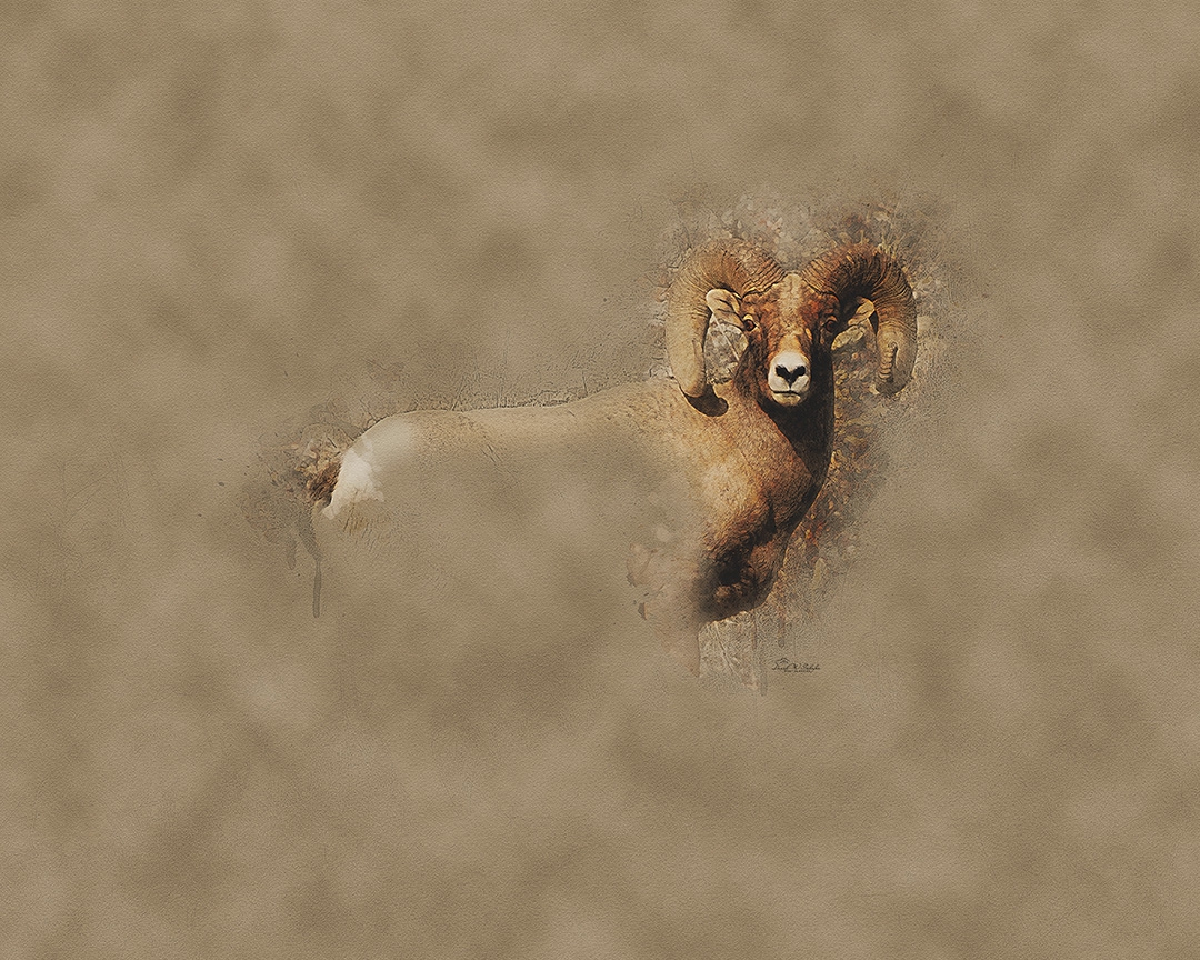 Bighorn Spirit in Organic Symphony by David W Schafer
