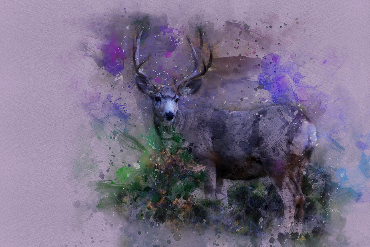 Mystical Stag in Serene Splatters by David W Schafer