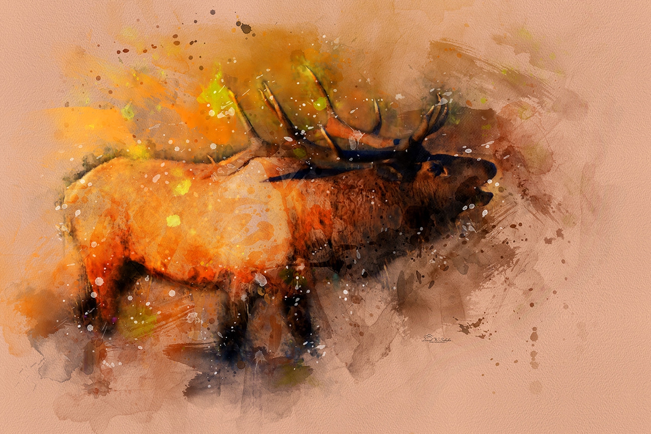 Rustic Echoes: Bull's Bugle by David W Schafer
