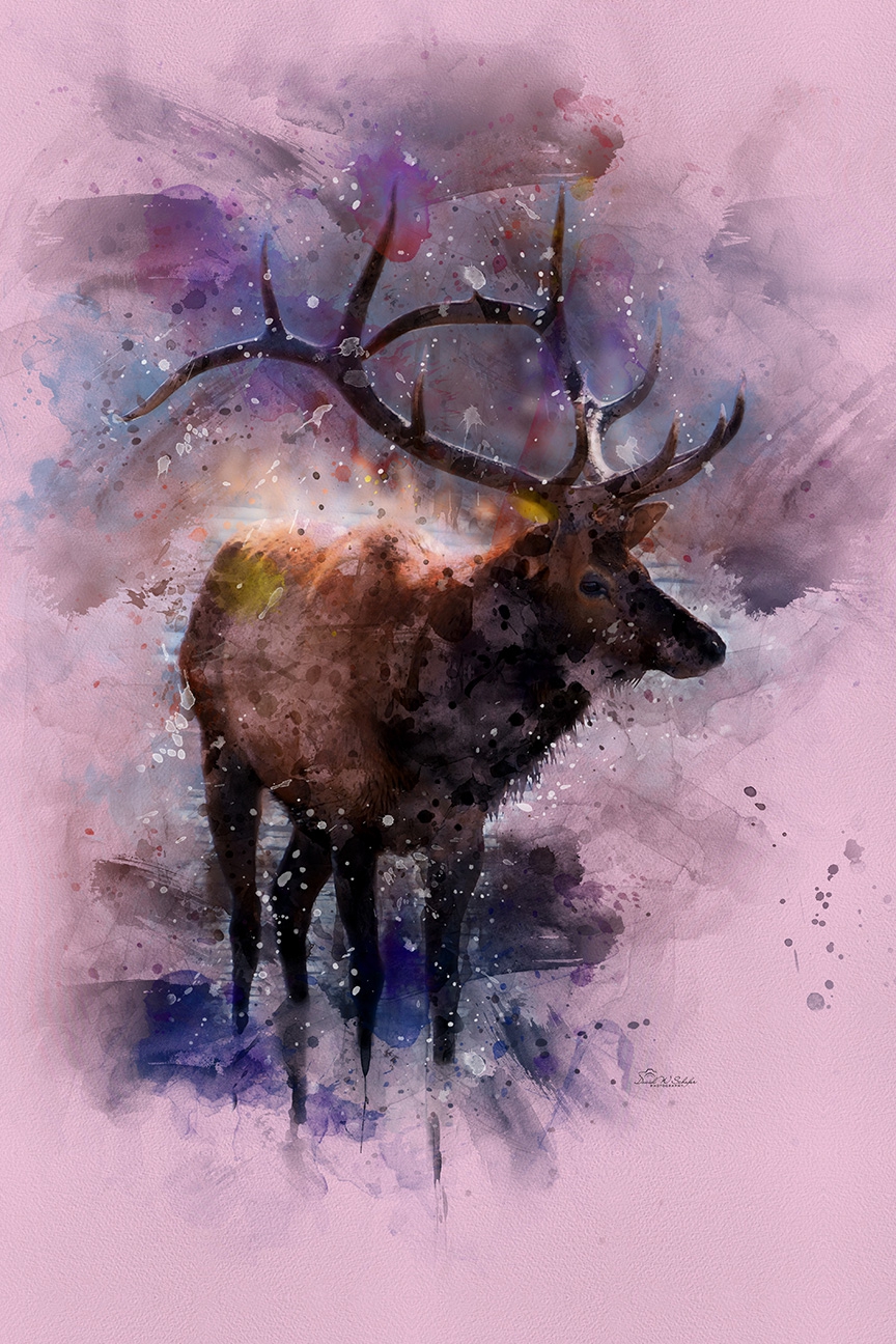 Click here to view Whimsical Wapiti by David W Schafer