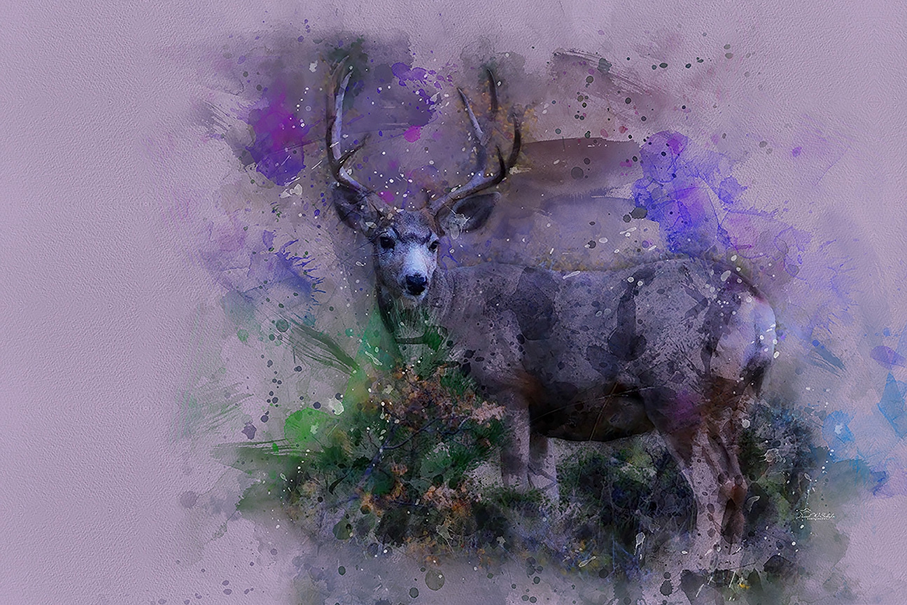 Mystical Stag in Serene Splatters by David W Schafer