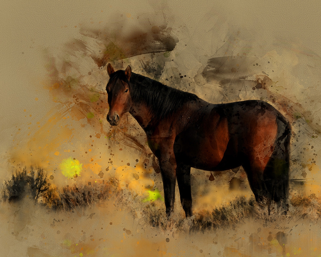 Click here to view Onaqui Bay Stallion by David W Schafer