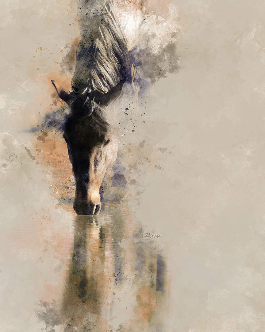 Click here to view Horse's Reflective Hues by David W Schafer