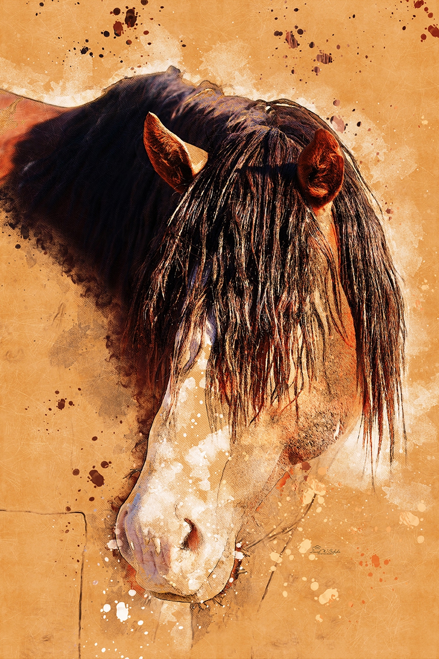 Silken Serenade of Mane & Mystery by David W Schafer
