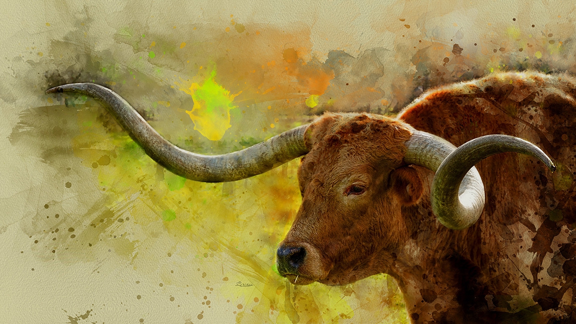 Click here to view Longhorn's Whimsical Watercolor Waltz by David W Schafer