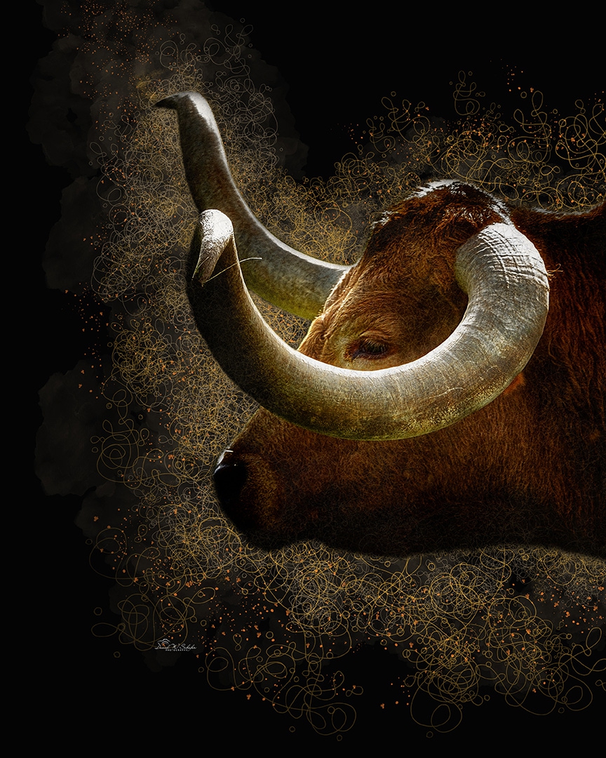 Whispers of Dust, Horns of Wonder by David W Schafer