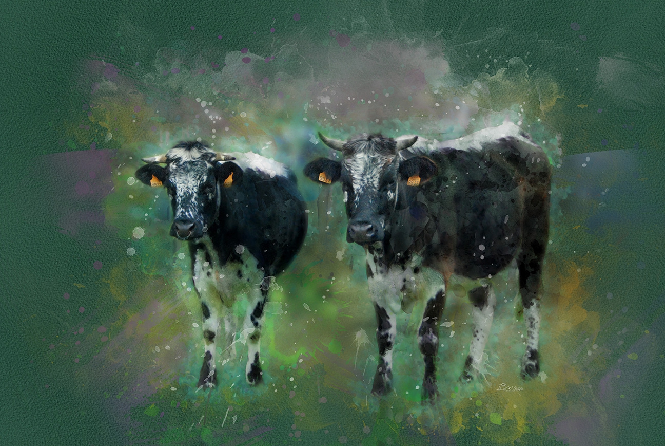 Vibrant Vosgienne Visions by David W Schafer