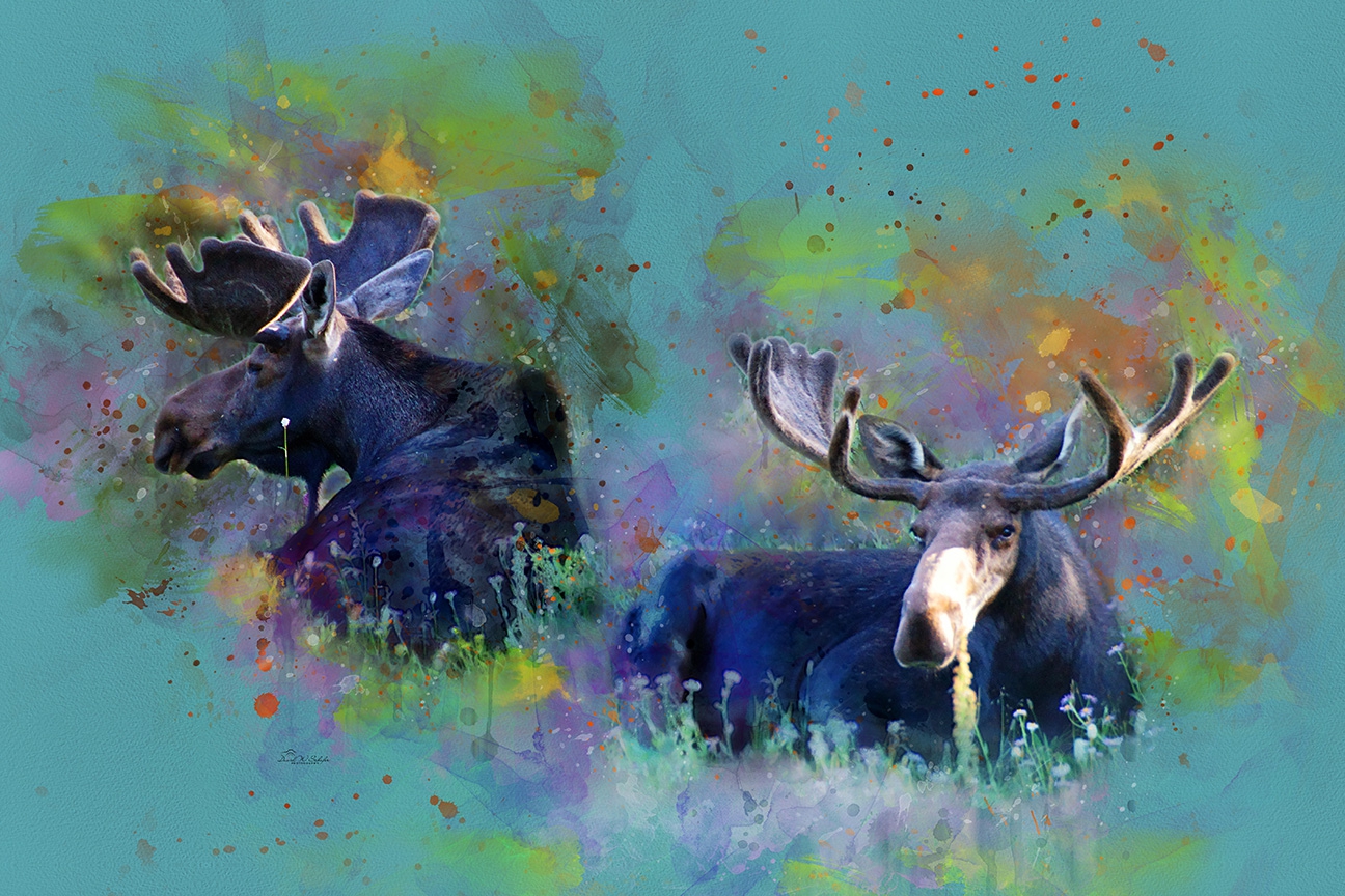 Click here to view Vibrant Mosaic of Moose by David W Schafer