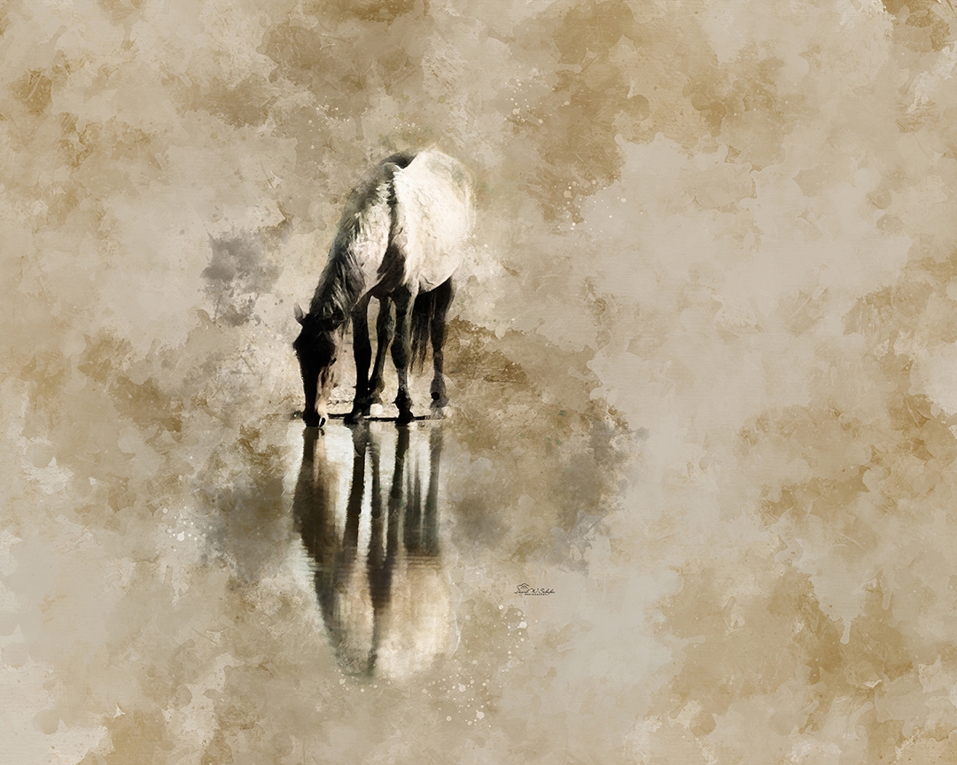 Rippling Equine Reflection by David W Schafer