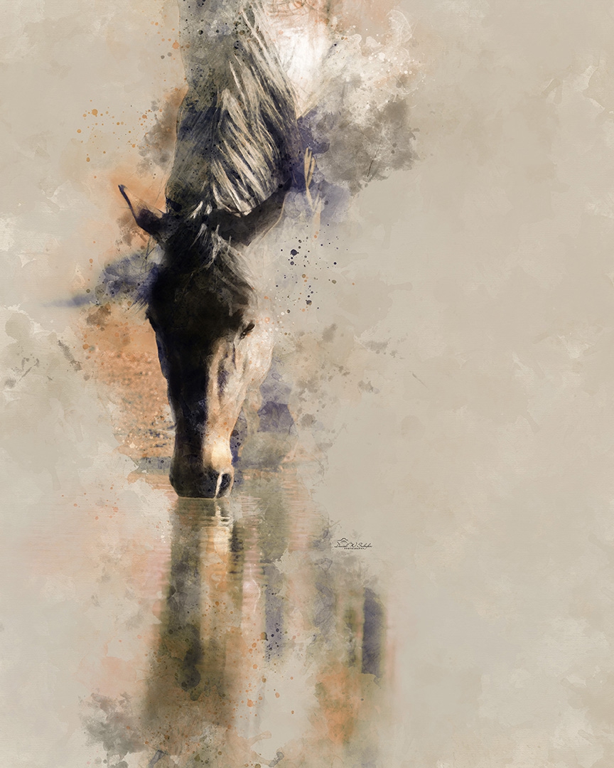 Horse's Reflective Hues by David W Schafer