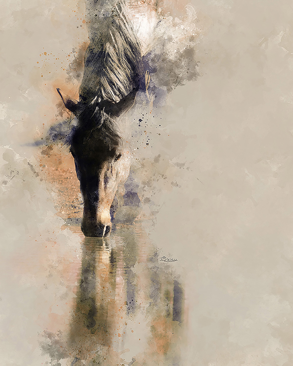 Horse's Reflective Hues by David W Schafer