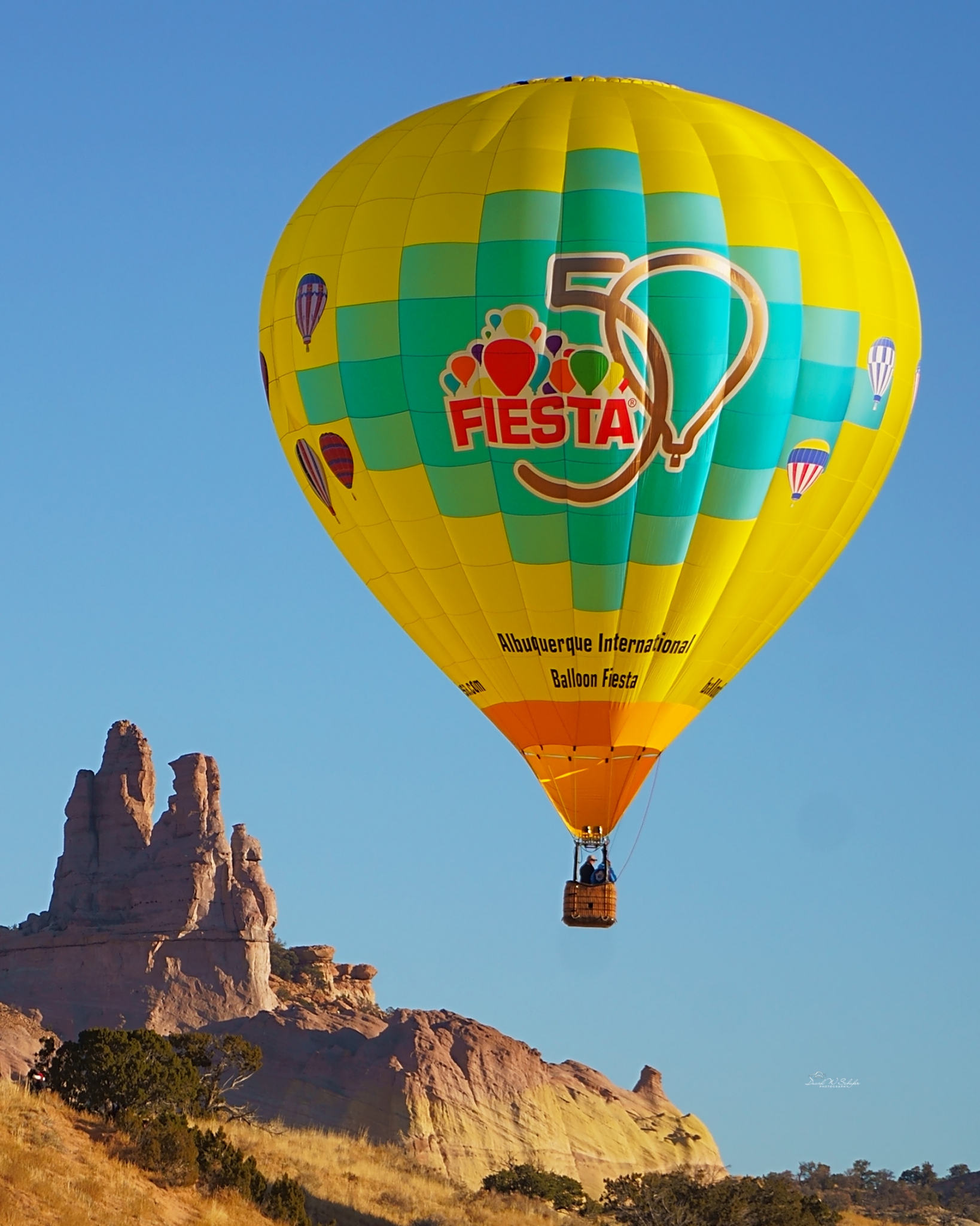 Fiesta Gold by David W Schafer